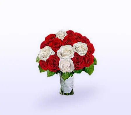 Dozen Red and White Roses