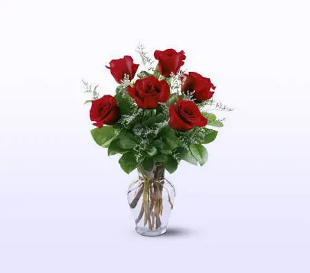 Red  Roses in Vase