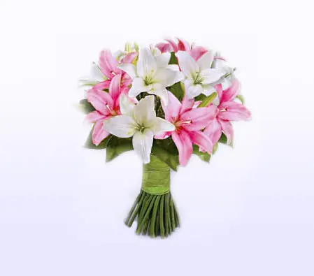 Pink And White Lilies