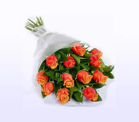 Beautiful Orange Roses