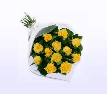 Beautiful Yellow Roses