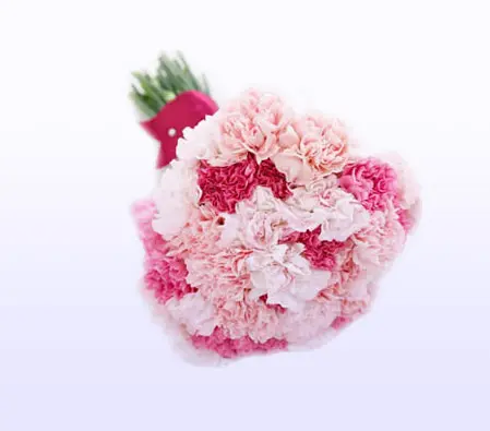 Carnation Bouquet 