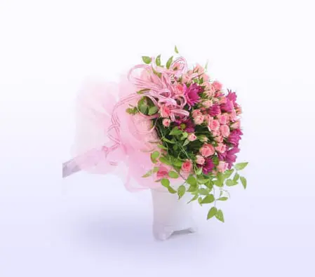 Perfect Pink 
