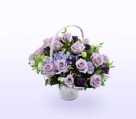 Violet Basket 