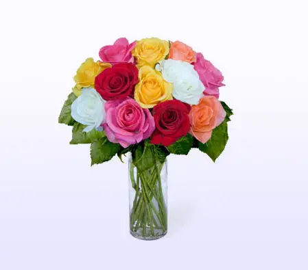 Dozen Mixed Roses 