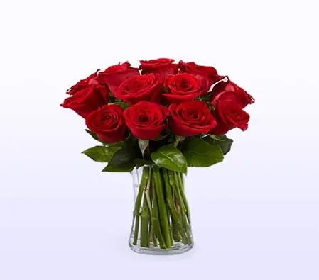 Classic Red Roses 