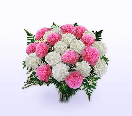 Carnation Bouquet