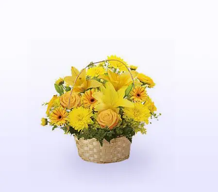 Yellow Basket