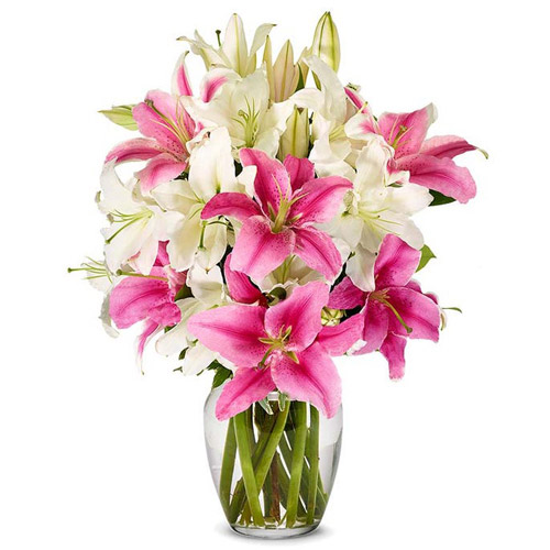 Send flowers to Azerbaijan - Online nationwide delivery