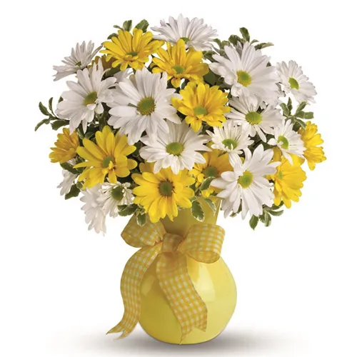 Classic Yellow White Daisies