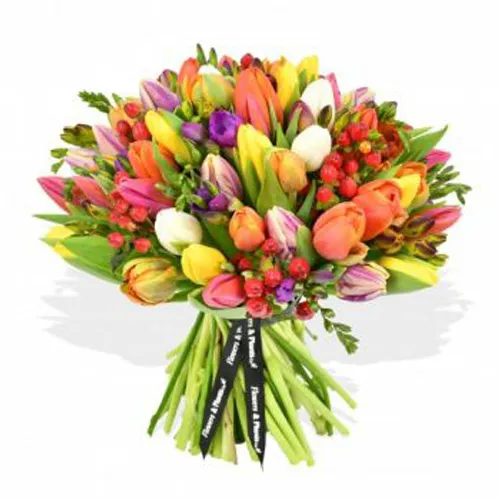 Freesia And Tulips