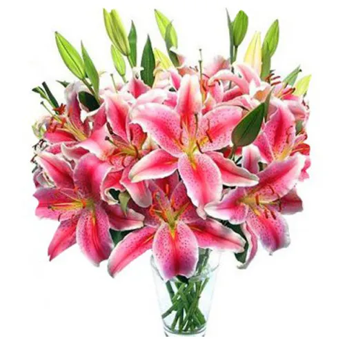 10 Pink Lilies