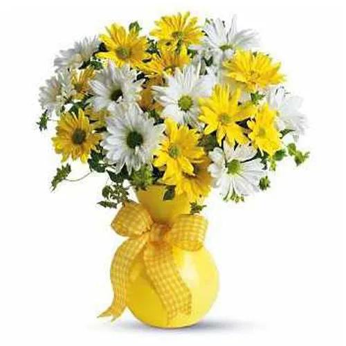 Yellow and White Daisies