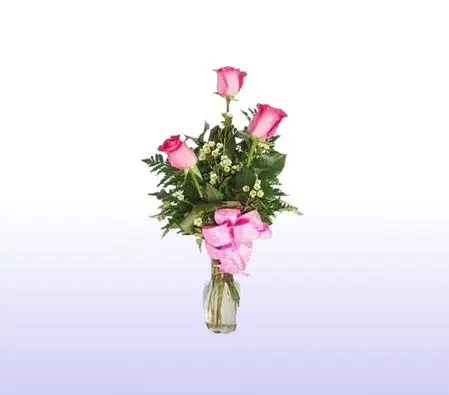 Pink Roses in Vase