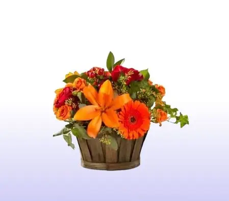 Special Fresh Flower Basket