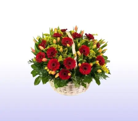 Gerberas And Tulips Basket