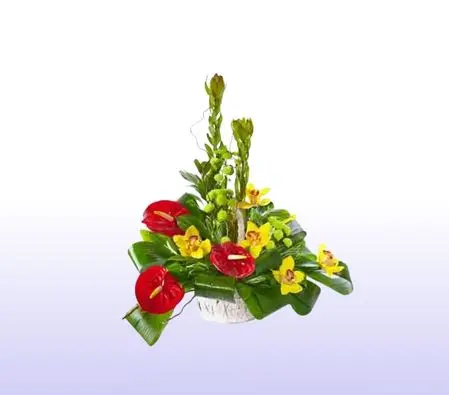 Anthurium And Yellow Flowers