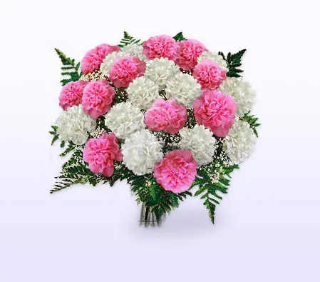 Carnation Bouquet