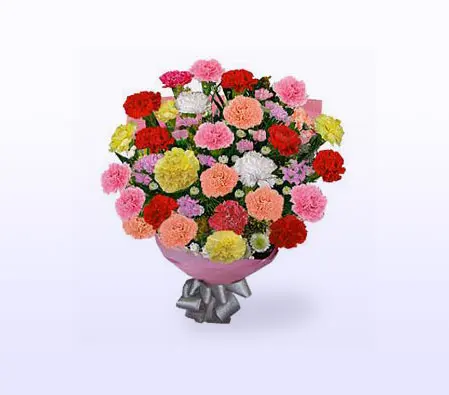 Carnations Floral