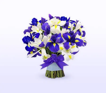 Blue and White Iris