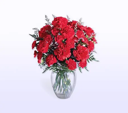 Celeberate with Carnation