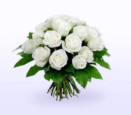 Long Stem White Roses