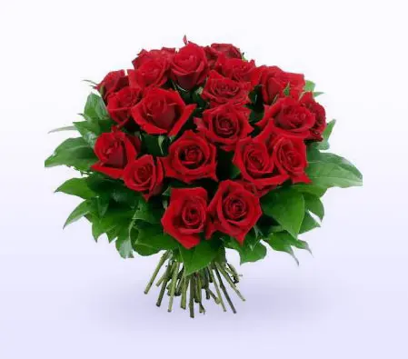 Red Roses With Greenery