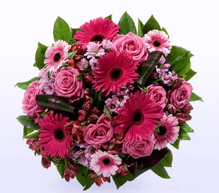 Pink Bouquet  